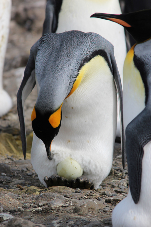 IMG_3039b.jpg - 315.4 KB